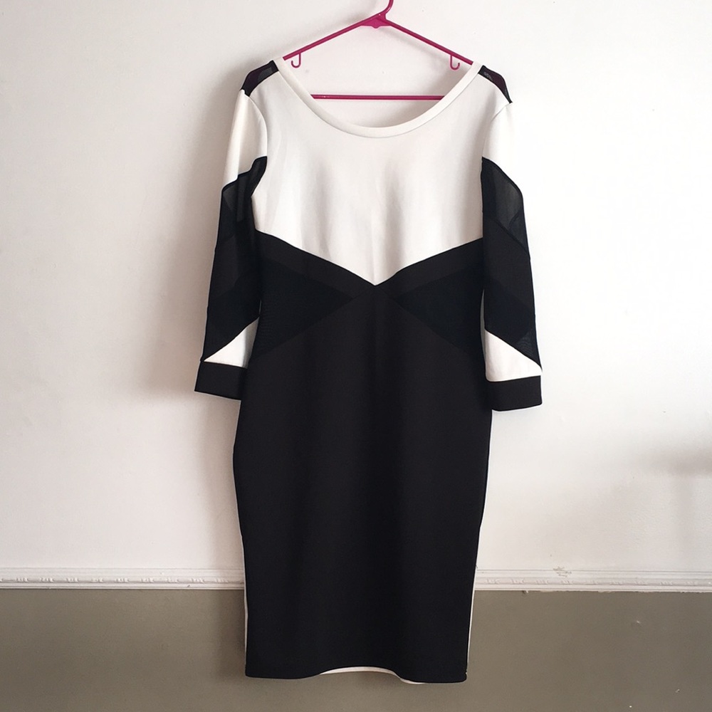 Women Black & White Sheer Dress